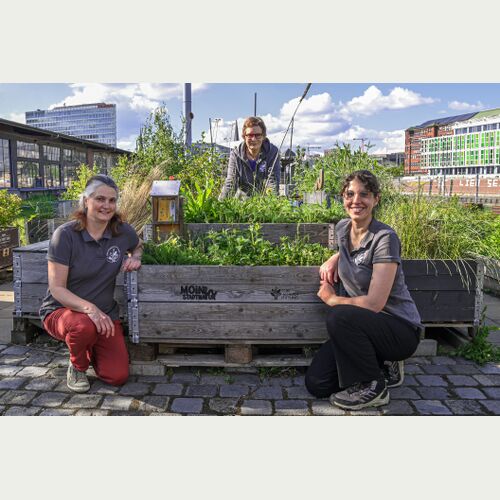 Im Einsatz für die Artenvielfalt_Viola Bödewadt, Christine Stecker (Projektleitung) und Amira Elatawna von MOIN STADTNATUR (Foto: Loki Schmidt Stiftung)
